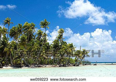 Blue Lagoon, Rangiroa, Tuamotu Archipelago, French Polynesia. View Large Photo Image Stock Image - Blue Lagoon, Rangiroa, Tuamotu Archipelago, French Polynesia.. Fotosearch
