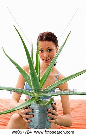 Body care, brunette, aloe vera View Large Photo Image Picture - Body care, brunette, aloe vera. Fotosearch