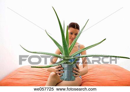 Body care, brunette, aloe vera View Large Photo Image Stock Photography - Body care, brunette, aloe vera. Fotosearch