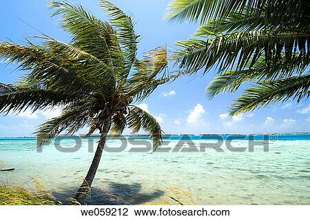 Bora Bora, French Polynesia. View Large Photo Image Stock Image - Bora Bora, French Polynesia.. Fotosearch
