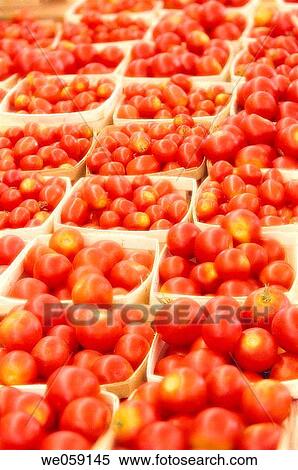 Boxed cherry tomatoes on farmer's market. Solanum lycopersicon. August 2006, Maryland, USA View Large Photo Image Stock Photography - Boxed cherry tomatoes on farmer's market. Solanum lycopersicon. August 2006, Maryland, USA. Fotosearch