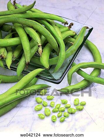 Broad beans View Large Photo Image Picture - Broad beans. Fotosearch