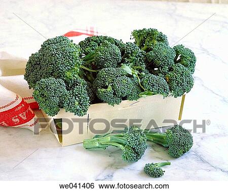 Broccoli View Large Photo Image Stock Photograph - Broccoli. Fotosearch