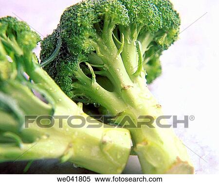 Stock Photography - Broccoli. Fotosearch