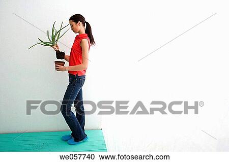 Stock Image - brunette, contemporary, aloe vera. Fotosearch