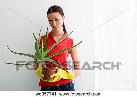 brunette, contemporary, aloe vera View Large Photo Image Stock Image - brunette, contemporary, aloe vera. Fotosearch