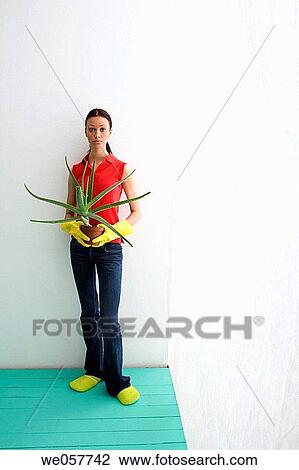 brunette, contemporary, aloe vera View Large Photo Image Stock Image - brunette, contemporary, aloe vera. Fotosearch