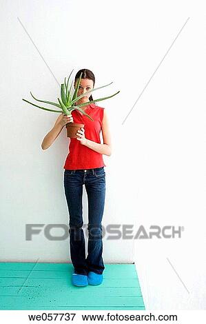 brunette, contemporary, aloe vera View Large Photo Image Stock Photo - brunette, contemporary, aloe vera. Fotosearch