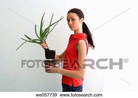 brunette, contemporary, aloe vera View Large Photo Image Stock Photo - brunette, contemporary, aloe vera. Fotosearch