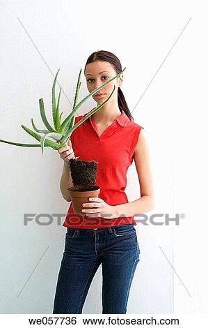 brunette, contemporary, aloe vera View Large Photo Image Stock Photograph - brunette, contemporary, aloe vera. Fotosearch