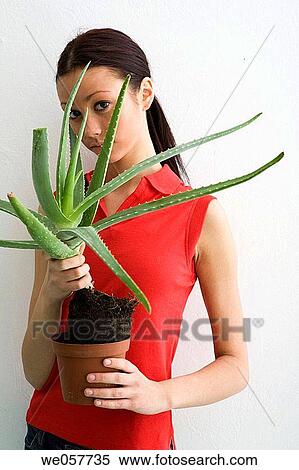 brunette, contemporary, aloe vera View Large Photo Image Stock Photography - brunette, contemporary, aloe vera. Fotosearch