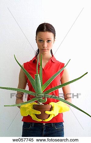 brunette, contemporary, aloe vera View Large Photo Image Stock Photography - brunette, contemporary, aloe vera. Fotosearch