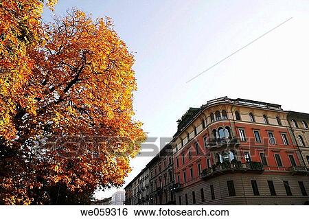 Building in old city, Milan. Lombardy, Italy View Large Photo Image Stock Photograph - Building in old city, Milan. Lombardy, Italy. Fotosearch