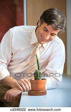 business, cactus, businesspeople, businessman, achievement View Large Photo Image Stock Image - business, cactus, businesspeople, businessman, achievement. Fotosearch