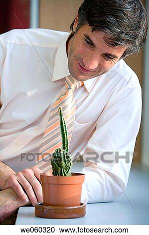 Stock Image - business, cactus, businesspeople, businessman, achievement. Fotosearch