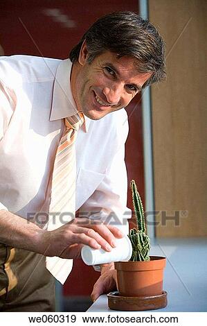 business, cactus, businesspeople, businessman, achievement View Large Photo Image Stock Photo - business, cactus, businesspeople, businessman, achievement. Fotosearch