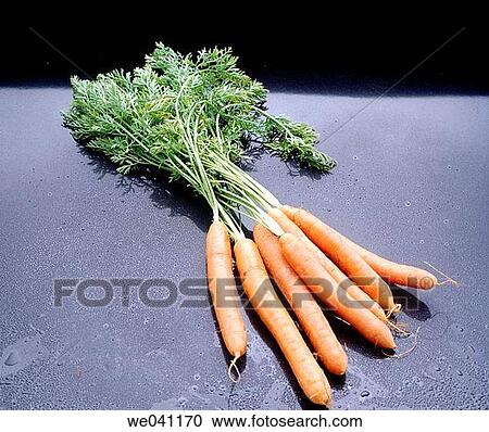 Carrots View Large Photo Image Stock Image - Carrots. Fotosearch