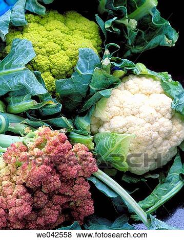 Cauliflowers View Large Photo Image Stock Photo - Cauliflowers. Fotosearch