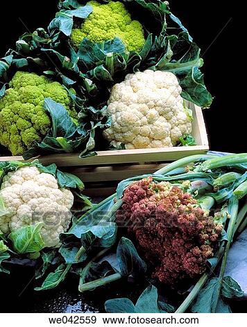 Cauliflowers View Large Photo Image Stock Photo - Cauliflowers. Fotosearch