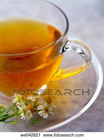 Chamomile tea View Large Photo Image Stock Image - Chamomile tea. Fotosearch