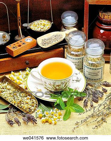 Chamomile tea View Large Photo Image Stock Photograph - Chamomile tea. Fotosearch
