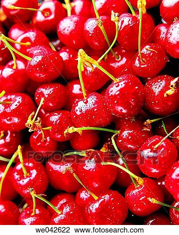 Cherries View Large Photo Image Stock Image - Cherries. Fotosearch