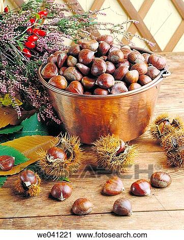 Chestnuts View Large Photo Image Stock Image - Chestnuts. Fotosearch