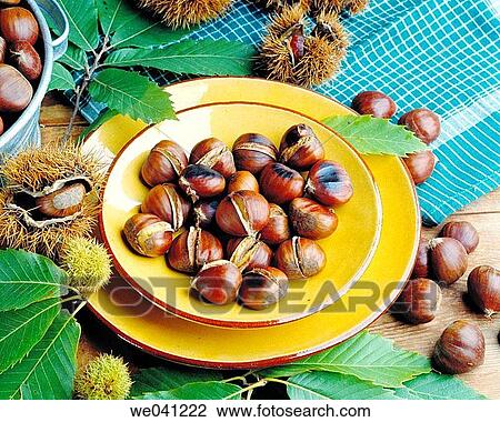 Chestnuts View Large Photo Image Stock Image - Chestnuts. Fotosearch