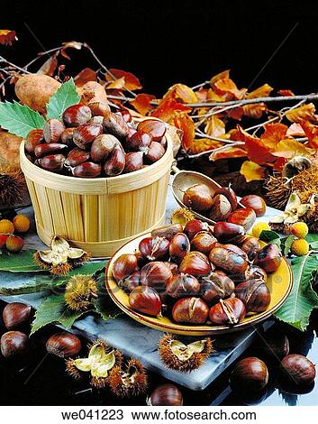 Chestnuts View Large Photo Image Stock Image - Chestnuts. Fotosearch