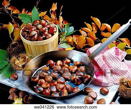 Chestnuts View Large Photo Image Stock Photograph - Chestnuts. Fotosearch