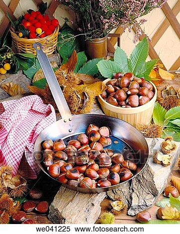 Chestnuts View Large Photo Image Stock Photography - Chestnuts. Fotosearch