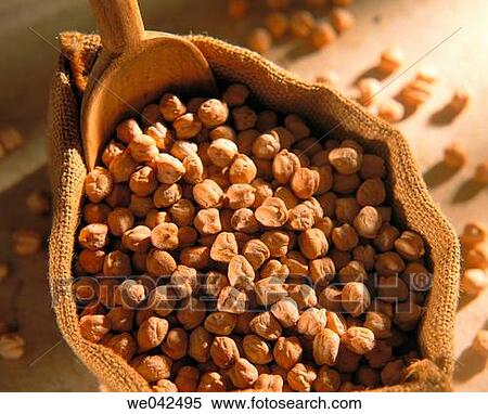 Chickpeas View Large Photo Image Stock Photography - Chickpeas. Fotosearch