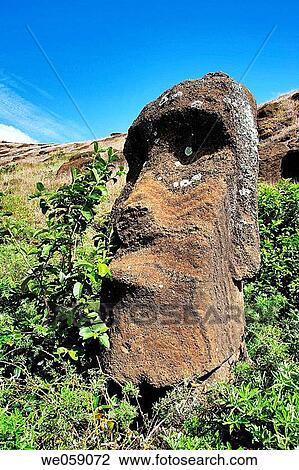 Chile, Easter Island, Rapa Nui, moai head on the inner crater slopes of Rano Raraku View Large Photo Image Stock Image - Chile, Easter Island, Rapa Nui, moai head on the inner crater slopes of Rano Raraku. Fotosearch