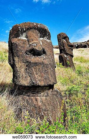 Stock Image - Chile, Easter Island, Rapa Nui, moai heads on the inner crater slopes of Rano Raraku. Fotosearch