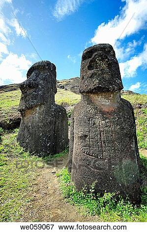 Chile, Easter Island, Rapa Nui, moai heads on the crater slopes of Rano Raraku View Large Photo Image Stock Photo - Chile, Easter Island, Rapa Nui, moai heads on the crater slopes of Rano Raraku. Fotosearch
