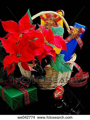 Christmas View Large Photo Image Picture - Christmas. Fotosearch