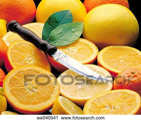 Citrus fruits View Large Photo Image Stock Image - Citrus fruits. Fotosearch
