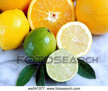 Citrus fruits View Large Photo Image Stock Photo - Citrus fruits. Fotosearch