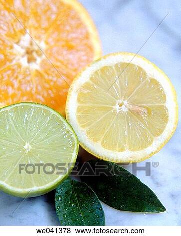 Citrus fruits View Large Photo Image Stock Photo - Citrus fruits. Fotosearch