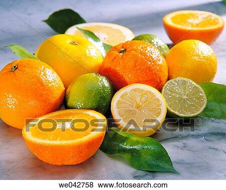 Citrus fruits View Large Photo Image Stock Photo - Citrus fruits. Fotosearch