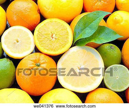 Citrus fruits View Large Photo Image Stock Photograph - Citrus fruits. Fotosearch