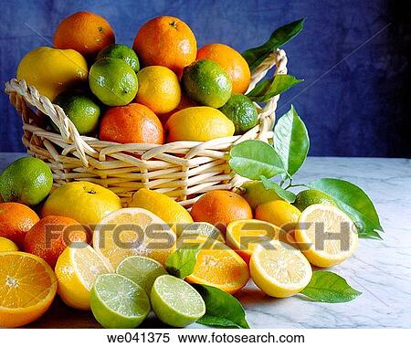 Citrus fruits View Large Photo Image Stock Photography - Citrus fruits. Fotosearch