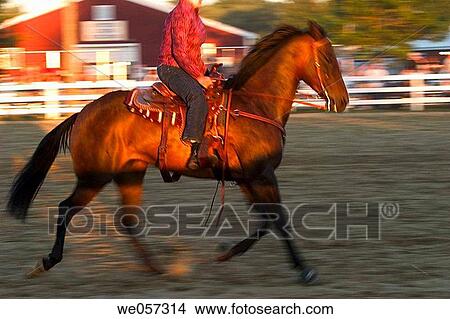 Picture - Close_up of a horse's and rider's legs in a corral at a fair near sunset. Fotosearch