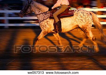 Close_up of a horse's and rider's legs in a corral at a fair near sunset View Large Photo Image Stock Image - Close_up of a horse's and rider's legs in a corral at a fair near sunset. Fotosearch