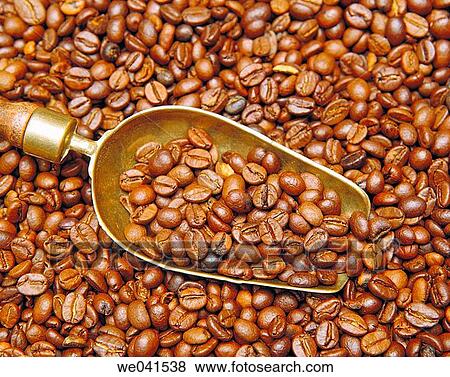 Coffee beans View Large Photo Image Stock Photo - Coffee beans. Fotosearch