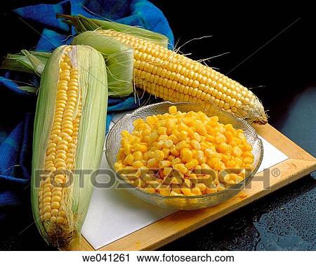 Corn View Large Photo Image Stock Image - Corn. Fotosearch