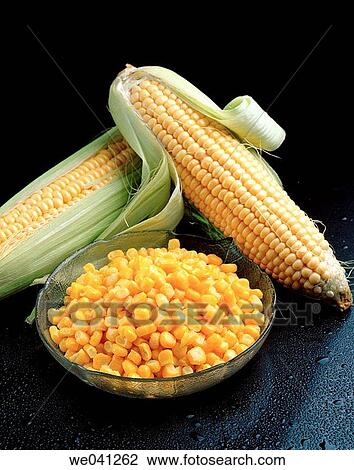 Corn View Large Photo Image Stock Image - Corn. Fotosearch