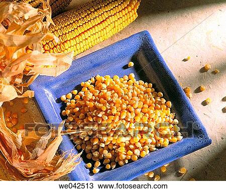 Corn View Large Photo Image Stock Image - Corn. Fotosearch