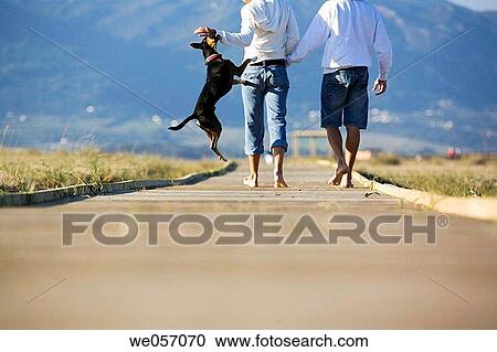 Stock Image - Couple Playing With Their Dog. Fotosearch