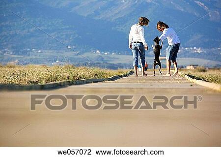 Couple Playing With Their Dog View Large Photo Image Stock Image - Couple Playing With Their Dog. Fotosearch